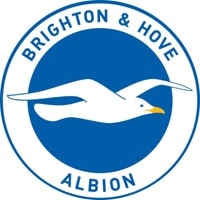 Competition logo for Brighton & Hove Albion Vrouwen