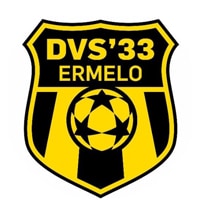 Competition logo for DVS '33