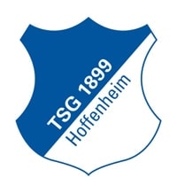 Competition logo for TSG 1899 Hoffenheim