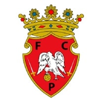 Competition logo for Penafiel