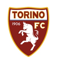 Competition logo for Torino