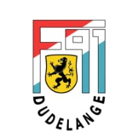 Competition logo for F91 Dudelange
